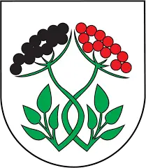 Bzince
